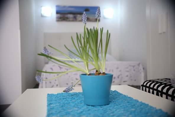 You & Me House Ceglie Messapica Exterior foto